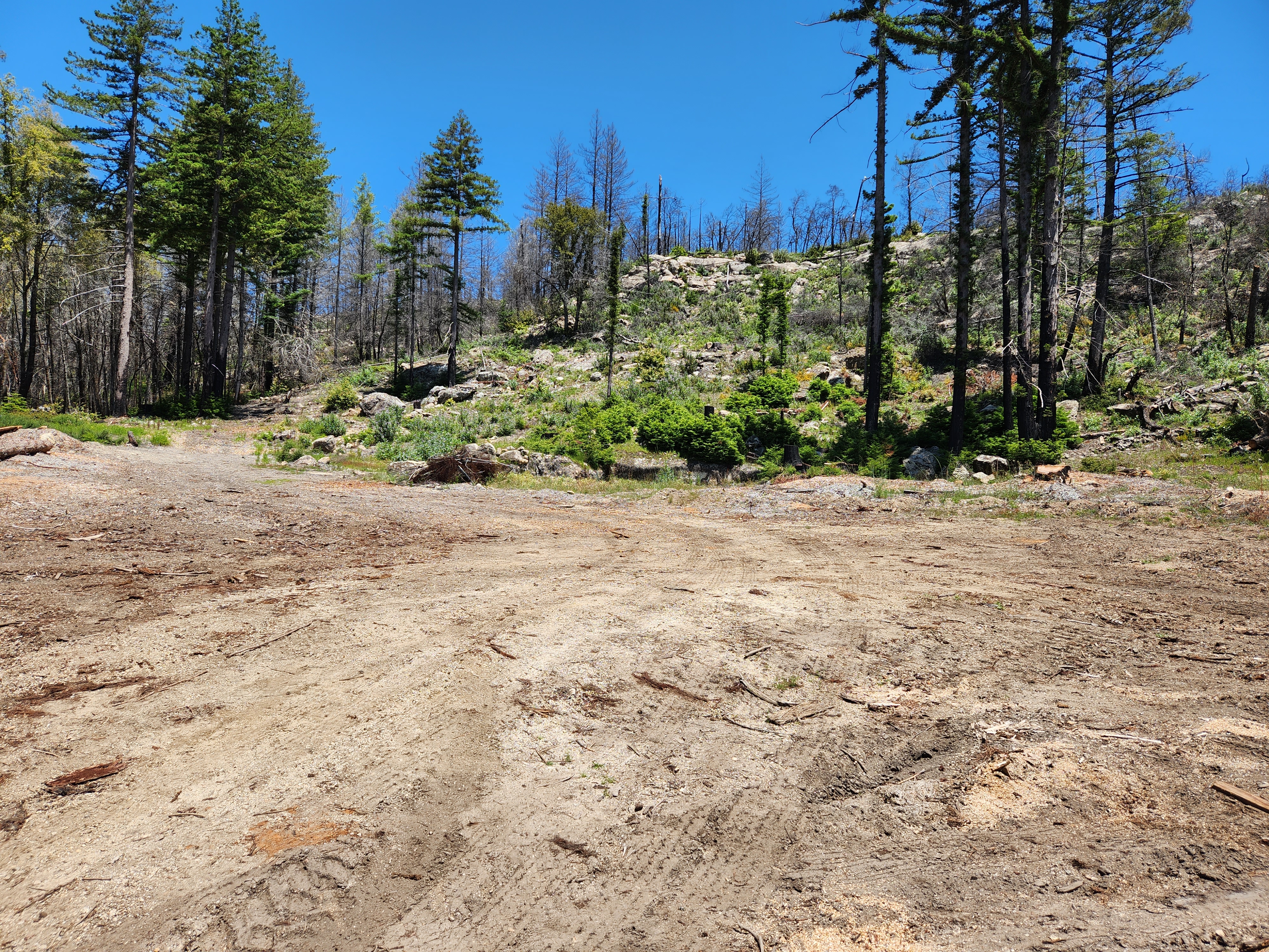 McHenry Vineyard 2023 Summer Winery Site