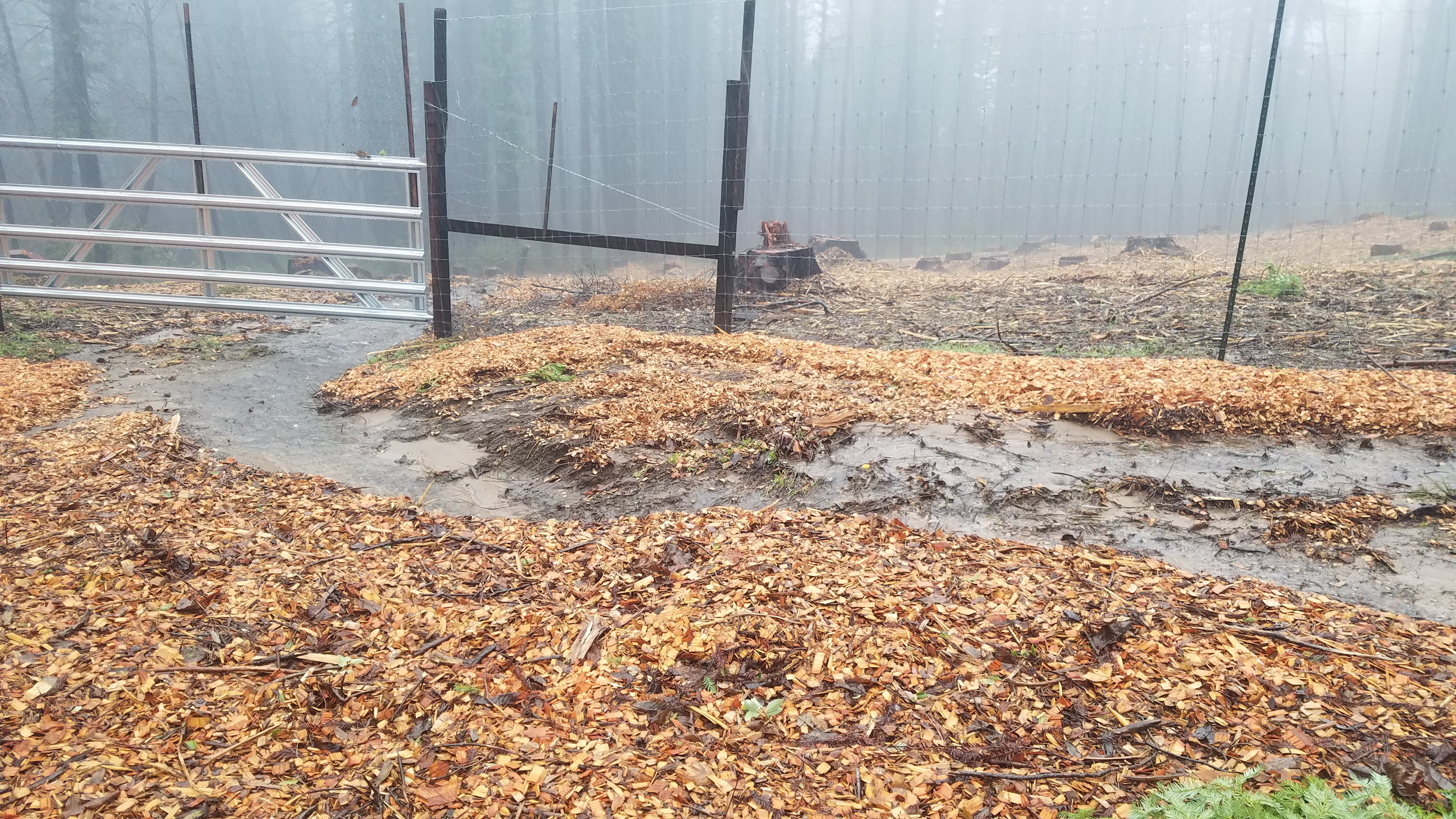 McHenry Vineyard 2023 Winter Flooding