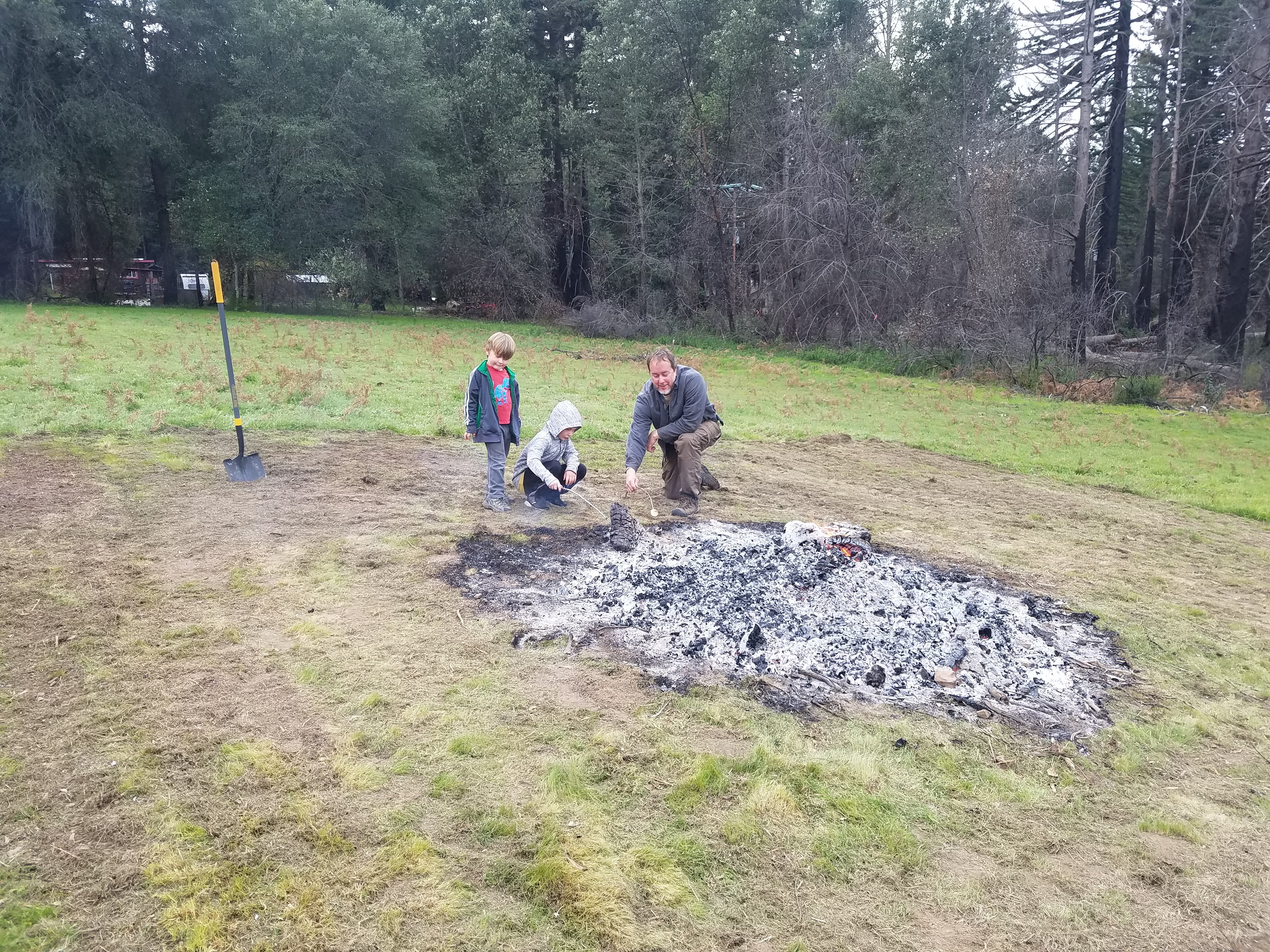 McHenry Vineyard CZU Trees Fall 2021