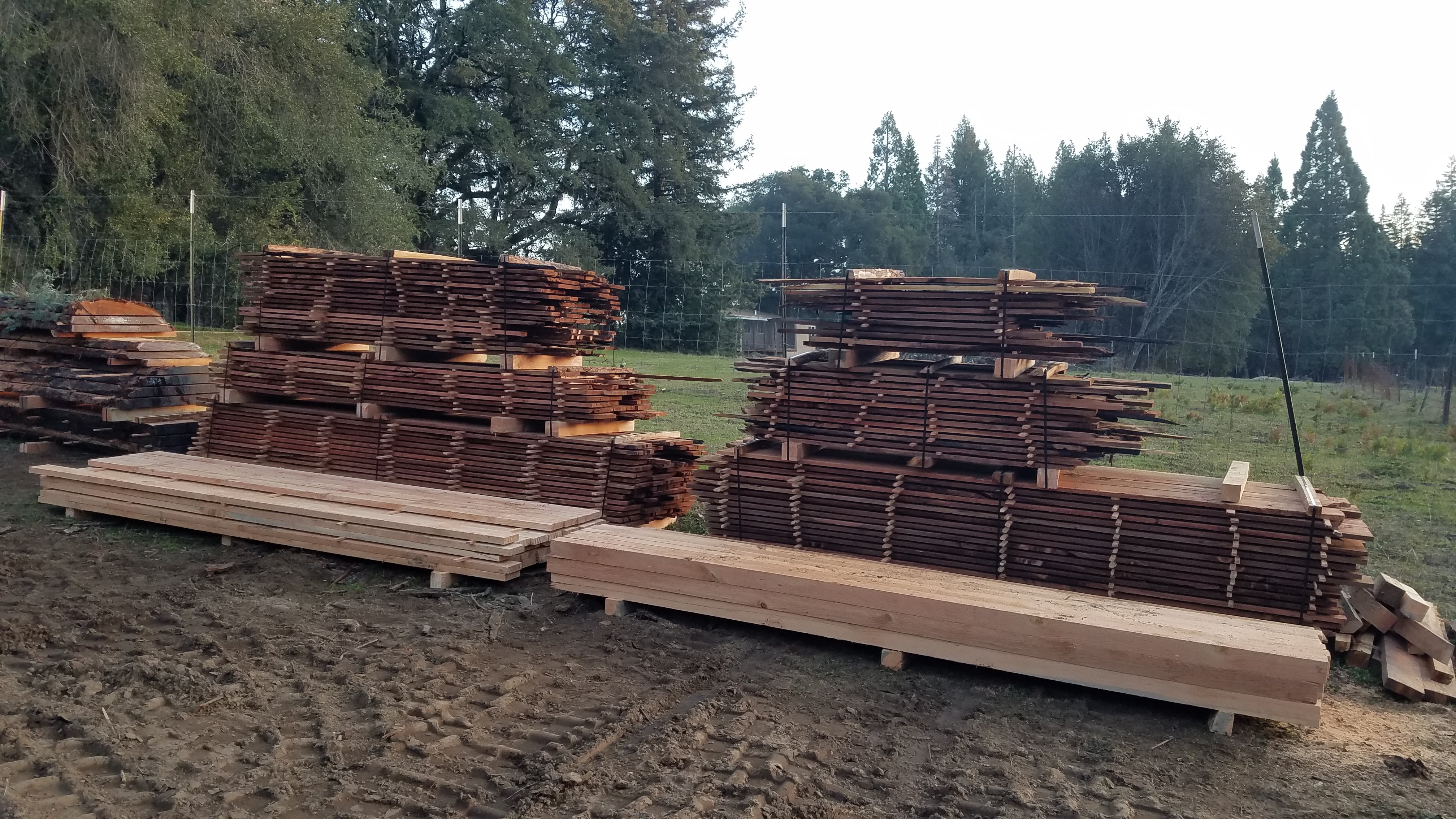 McHenry Vineyard Fall 2022 Lumber