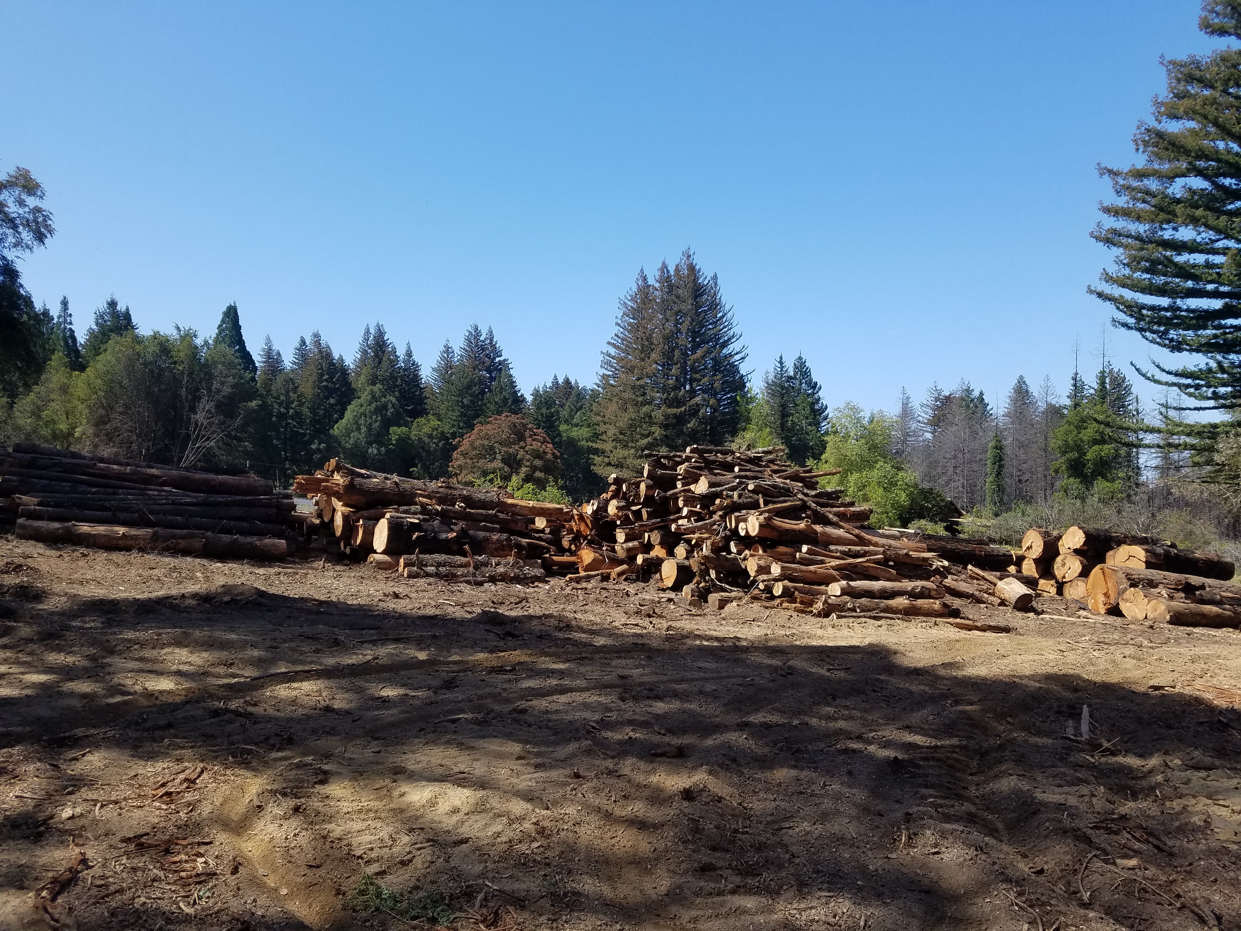 McHenry Vineyard 2022 Tree Work