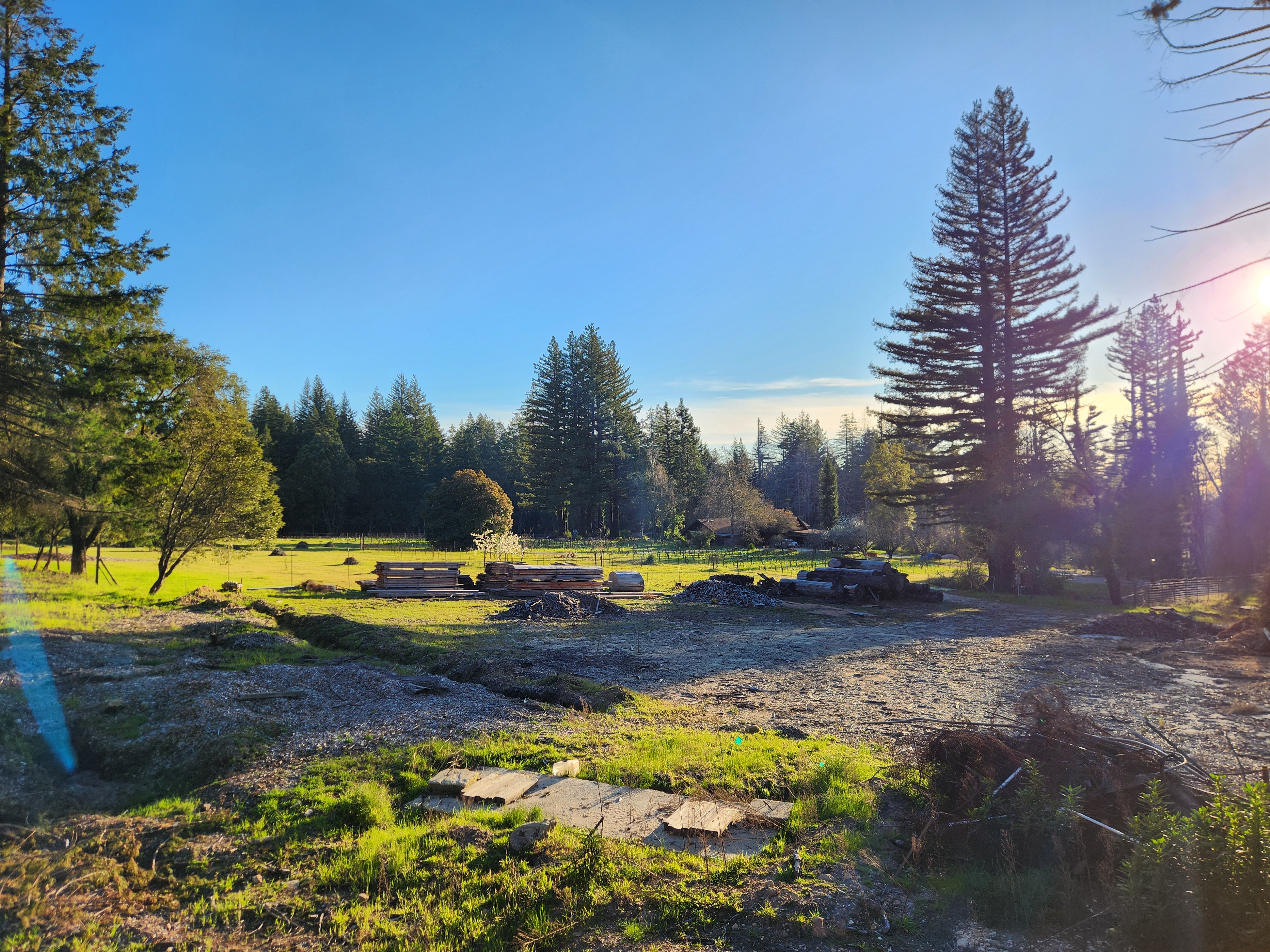 View from Winery