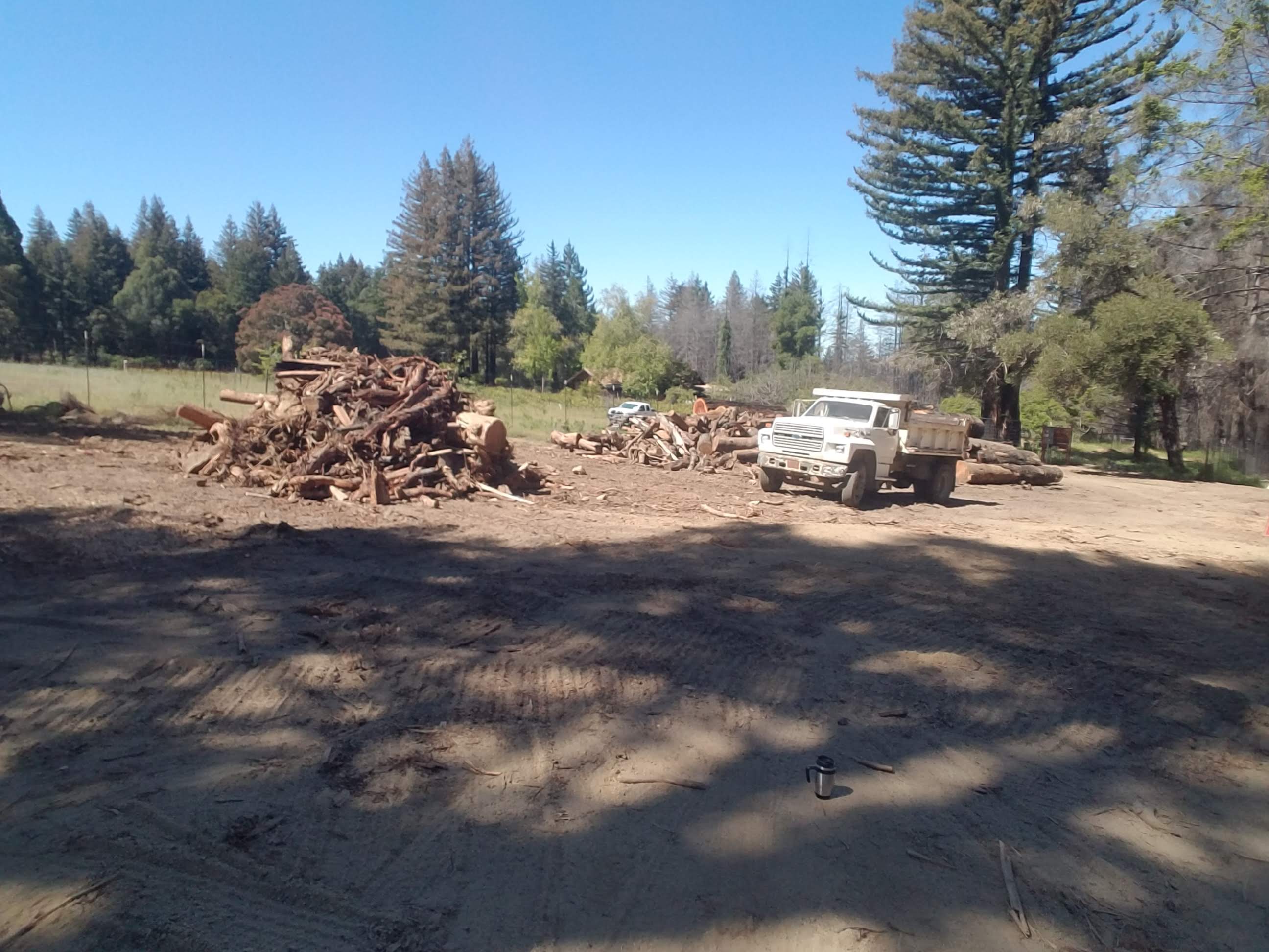 McHenry Vineyard 2022 Tree Cleanup