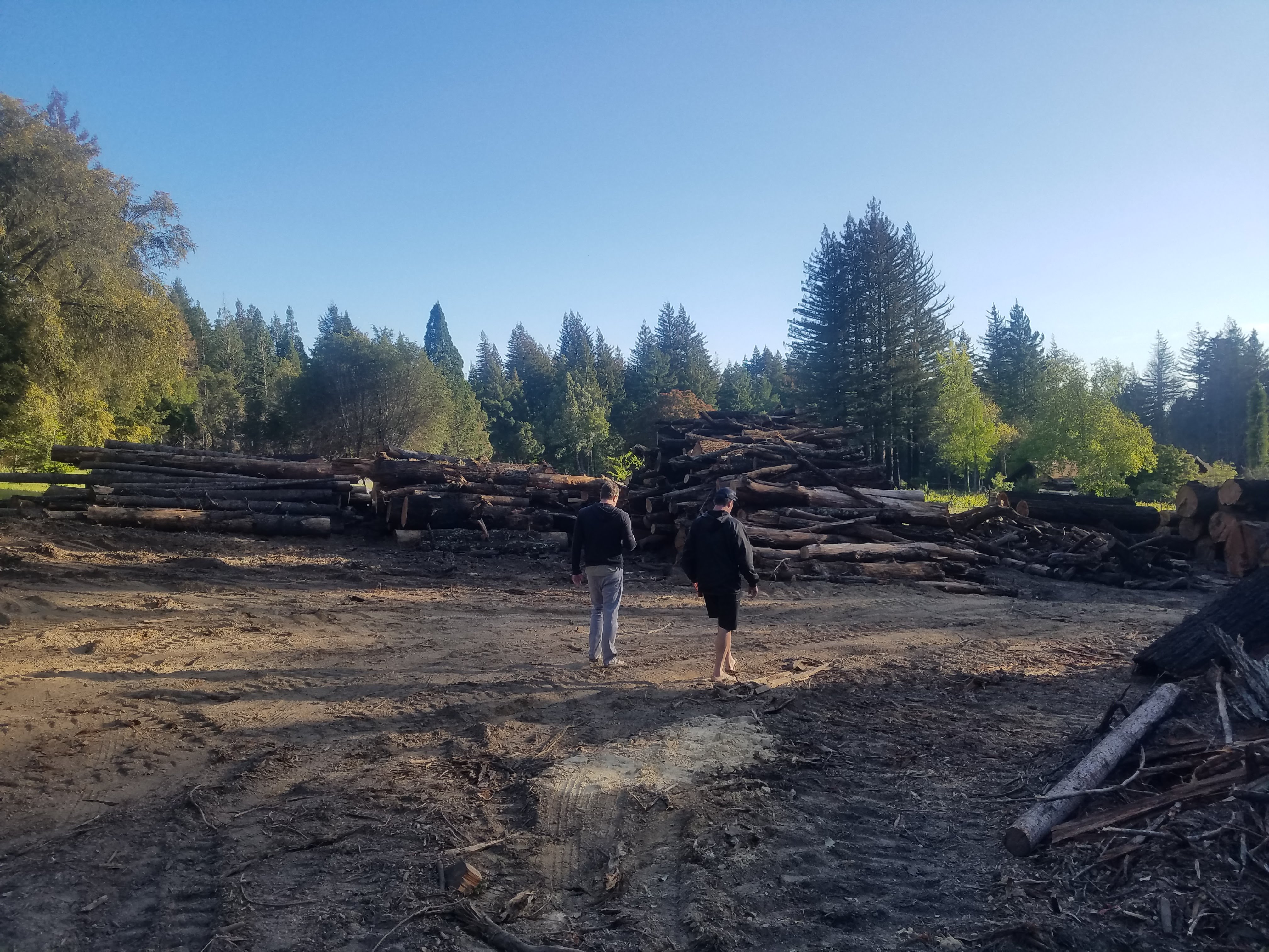 McHenry Vineyard CZU Trees Log Decks