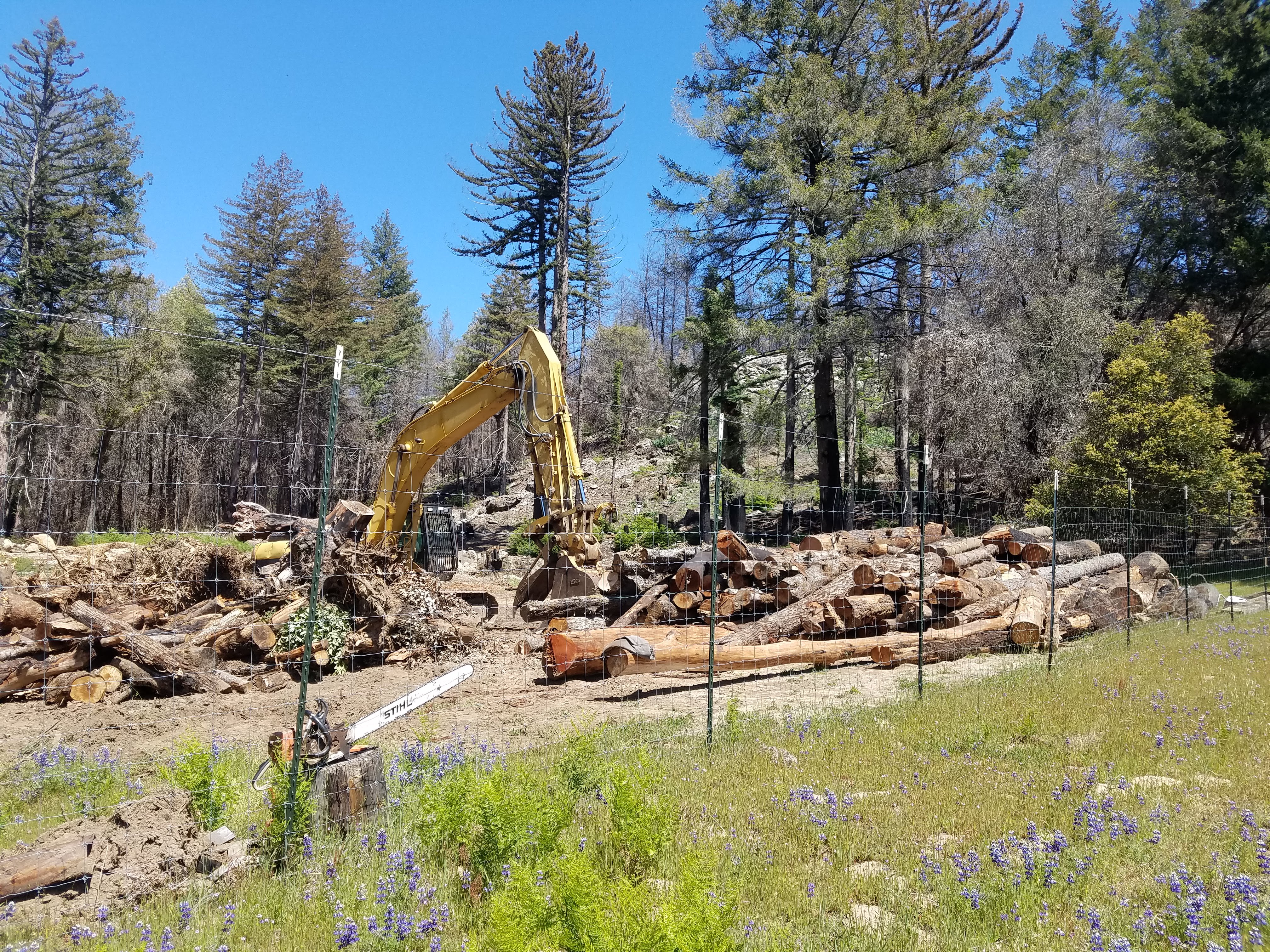 McHenry Vineyard CZU Trees Excavator Spring 2022